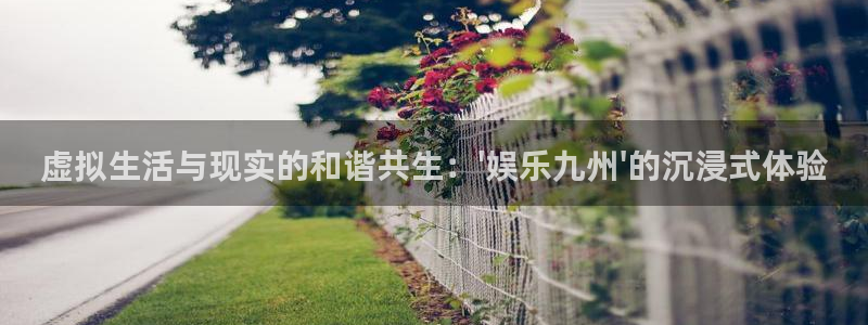 彩名堂官方平台：虚拟生活与现实的和谐共生：\'娱乐九州\'的沉浸式体验