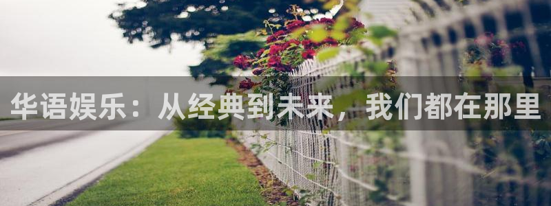 彩名堂手机版下载：华语娱乐：从经典到未来，我们都在那里