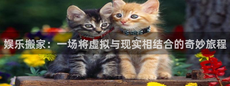 彩名堂旧版本：娱乐搬家：一场将虚拟与现实相结合的奇妙旅程