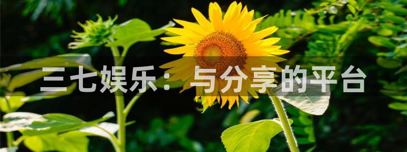 彩名堂官方平台：三七娱乐：与分享的平台