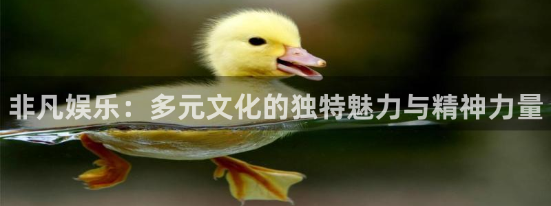 彩名堂旧版本下载：非凡娱乐：多元文化的独特魅力与精神力量