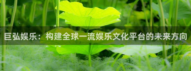 彩名堂官方平台：巨弘娱乐：构建全球一流娱乐文化平台的未来方向