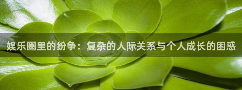 彩名堂ios：娱乐圈里的纷争：复杂的人际关系与个人成长的困惑