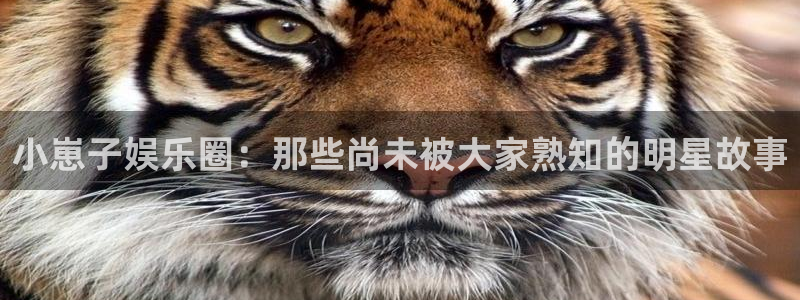 彩名堂老版本：小崽子娱乐圈：那些尚未被大家熟知的明星故事