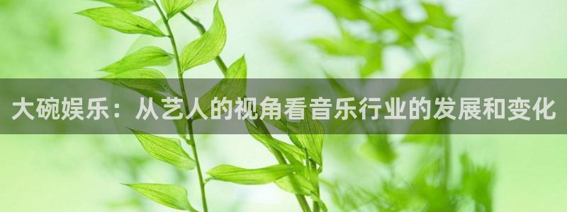 彩名堂官网2：大碗娱乐：从艺人的视角看音乐行业的发展和变化